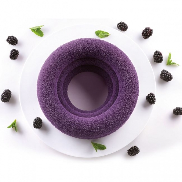 3D Silicon Mould - Arena
